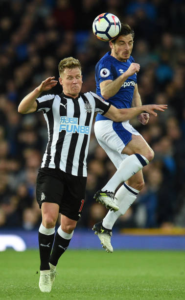 培养和展示 培养和展示